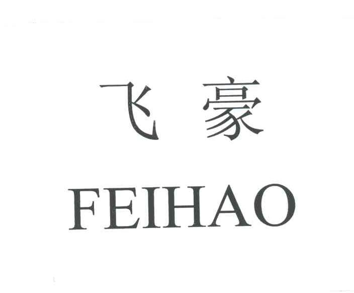 飞豪
