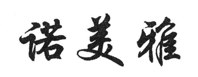 诺美雅