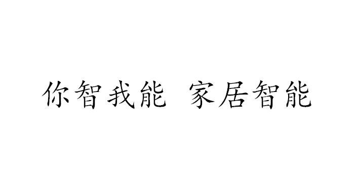 你智我能，家居智能