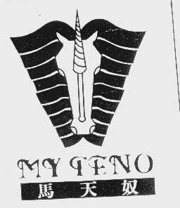 马天奴   MY TENO