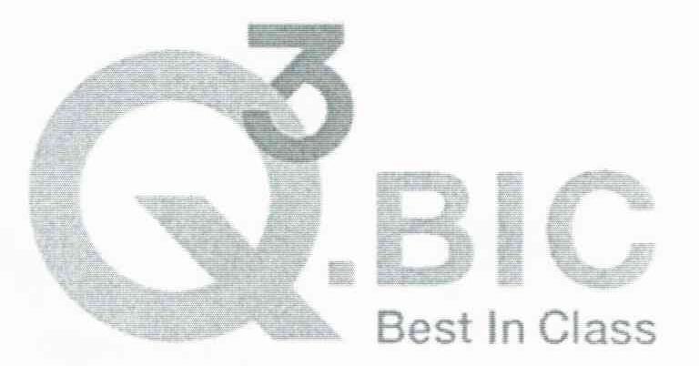 Q.3BIC BEST IN CLASS
