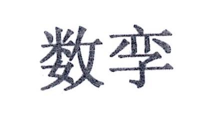数孪