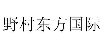 野村东方国际