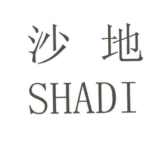 沙地
