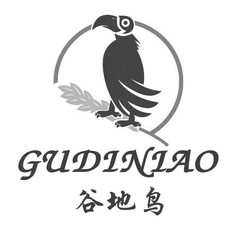 谷地鸟