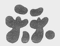 天天