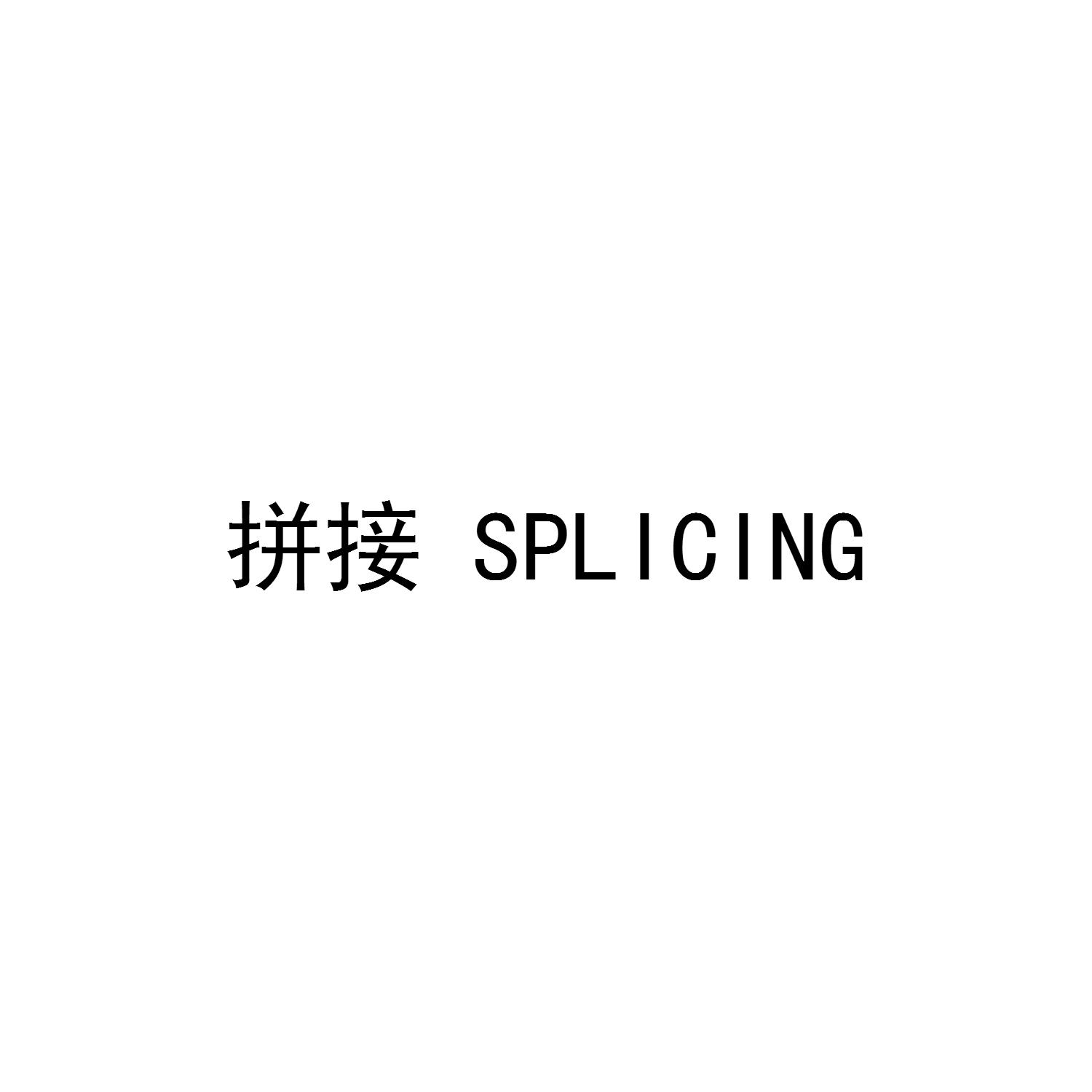 拼接 SPLICING