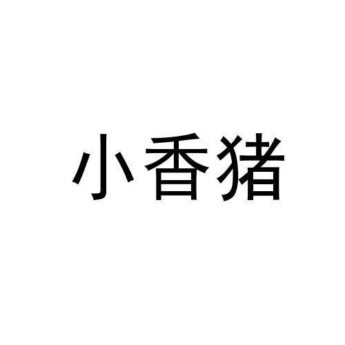 小香猪