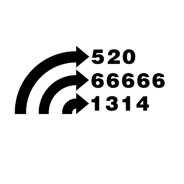 520 66666 1314