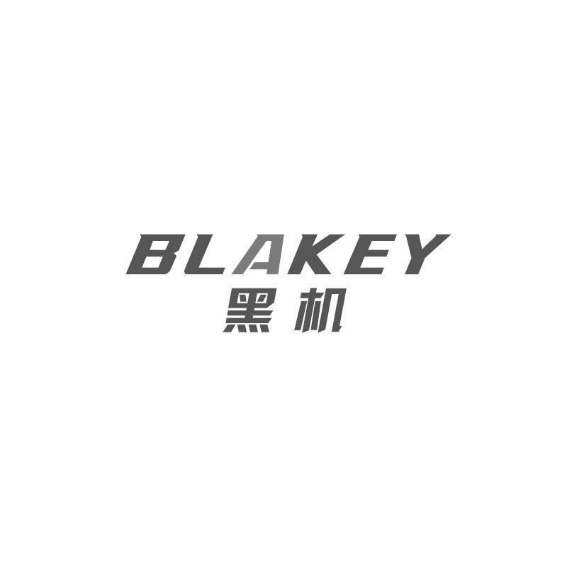 黑机 BLAKEY