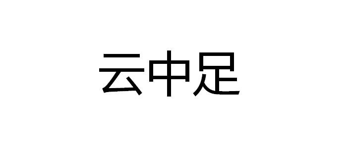 云中足