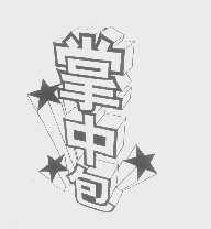 掌中包