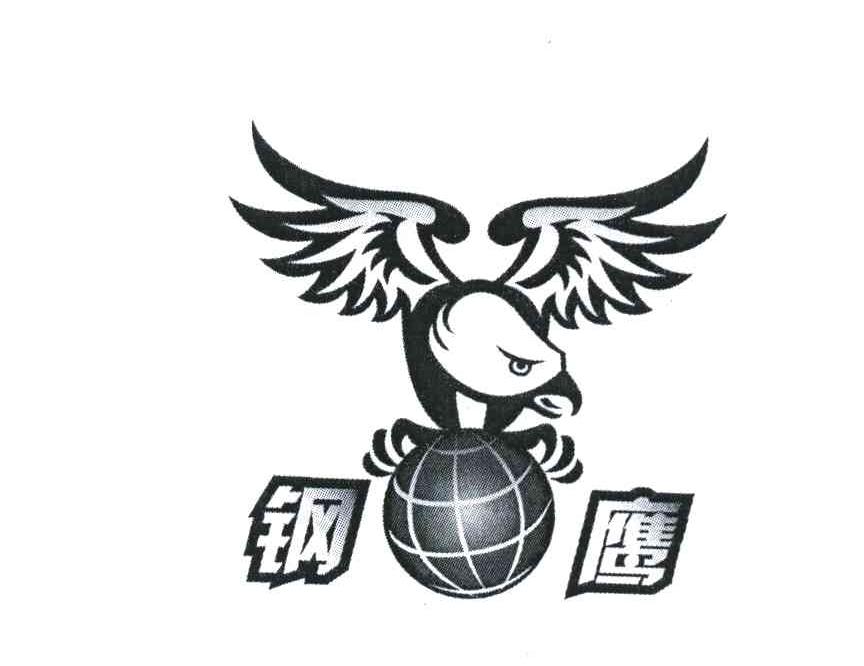 钢鹰