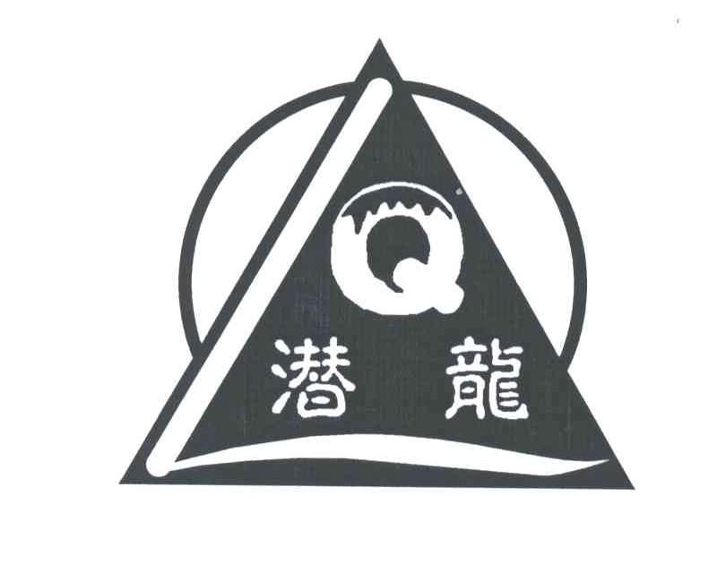 潜龙