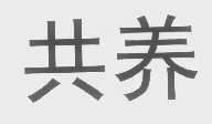 共养