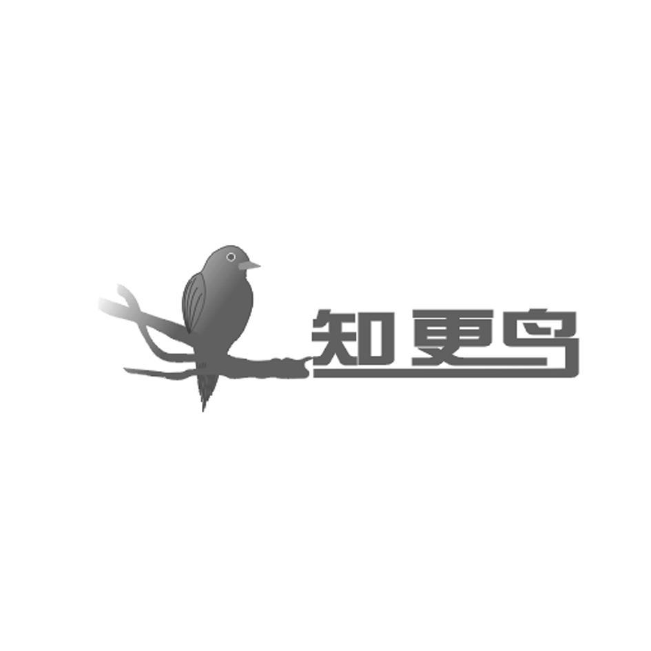 知更鸟