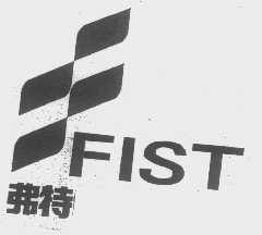 弗特   FIST