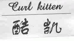 酷凯;CURL KITTEN