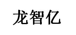 龙智亿