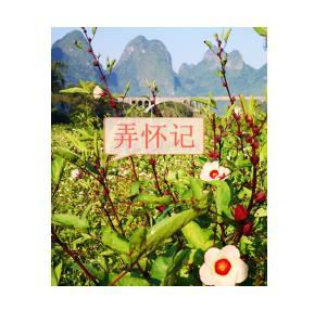 弄怀记