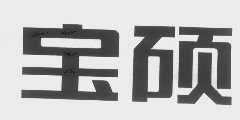 宝硕