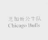 芝加哥公牛队   CHICAGO BULLS