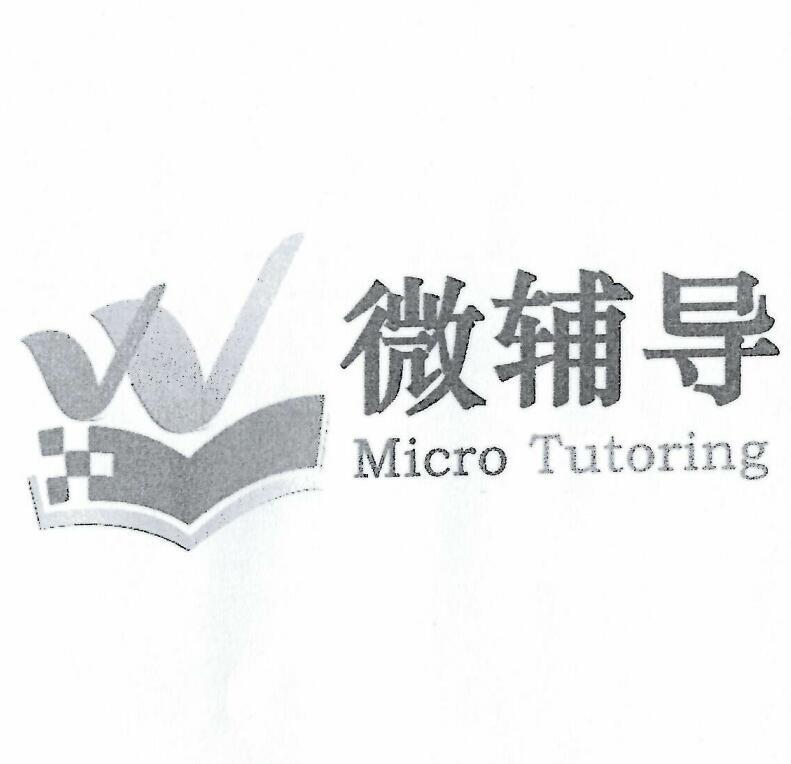 微辅导 MICRO TUTORING
