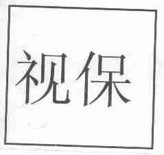 视保