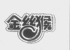 金丝猴