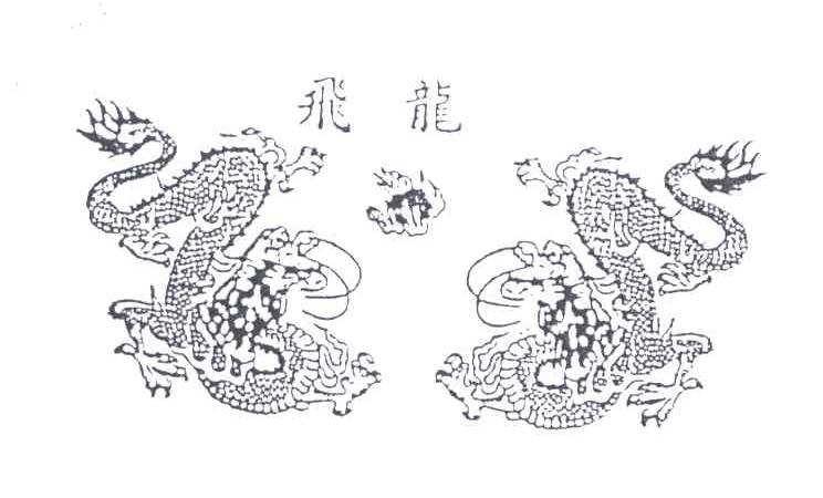 飞龙