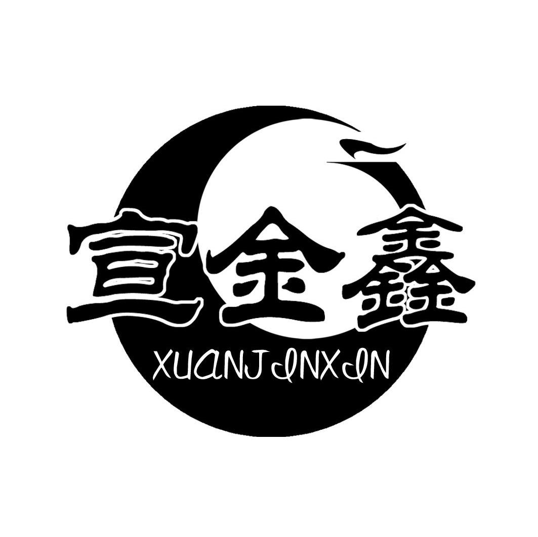 宣金鑫