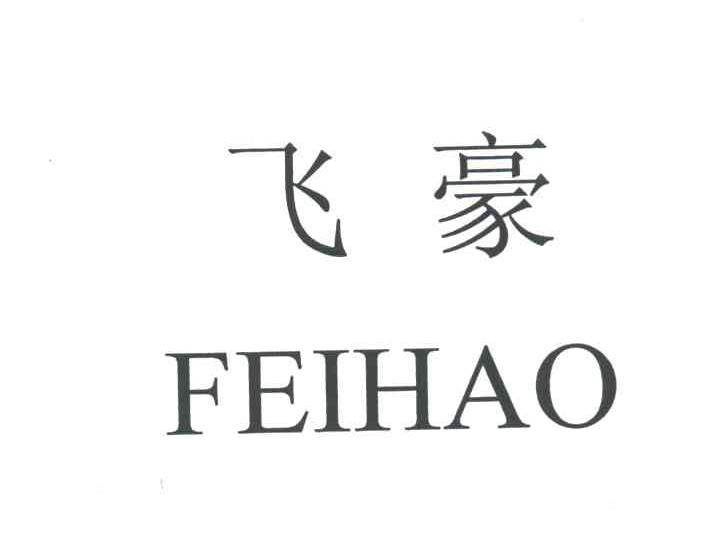 飞豪