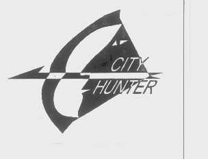 CITY HUNTER