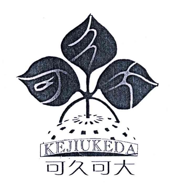 可久可大