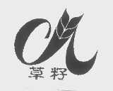 草籽