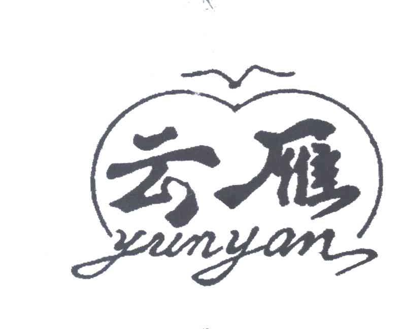 云雁