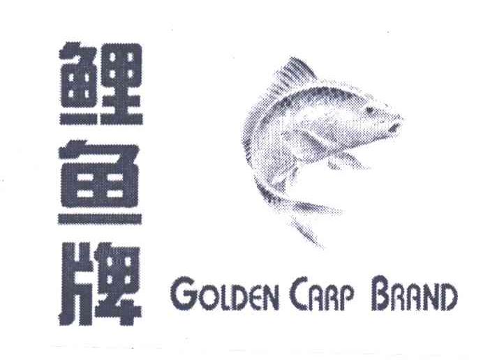 鲤鱼;GOLDEN CARP