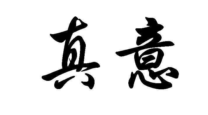 真意