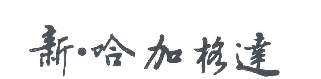 新哈加格达