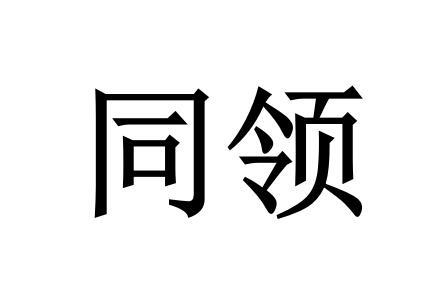 同领