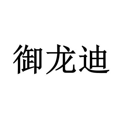 御龙迪