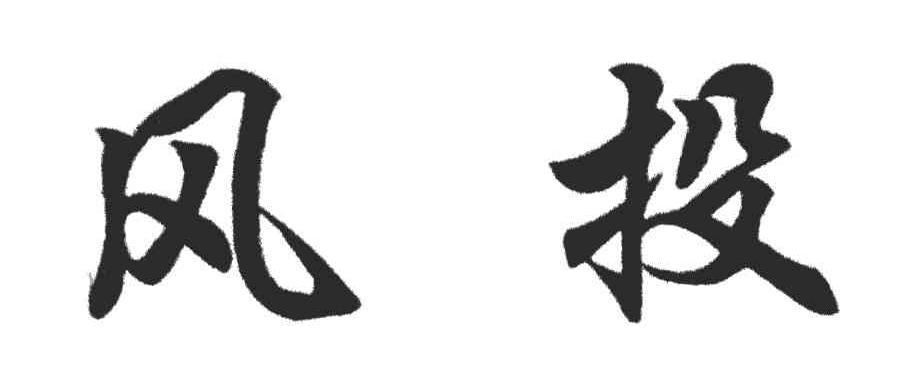 风投