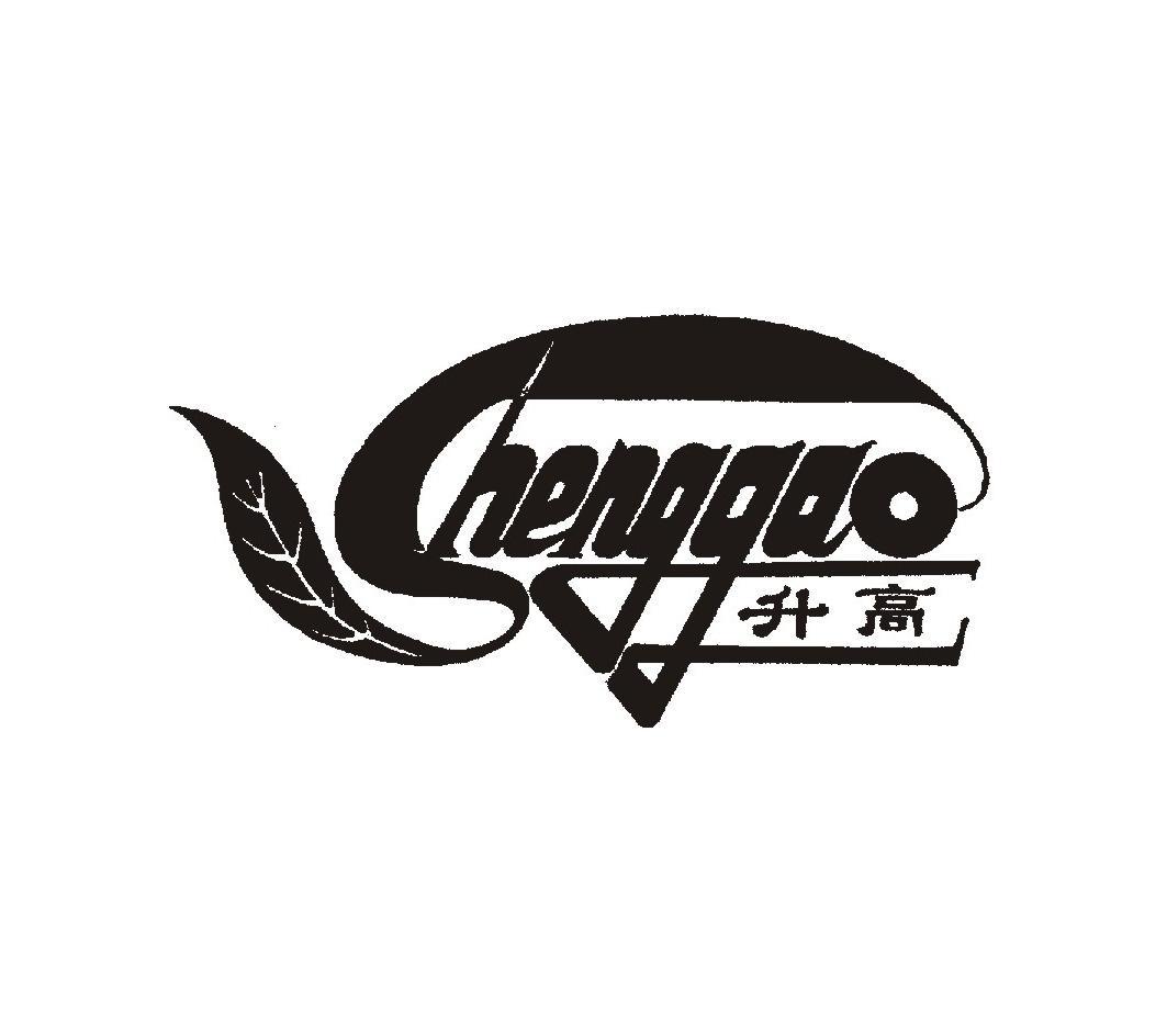 升高 S HENGGAO