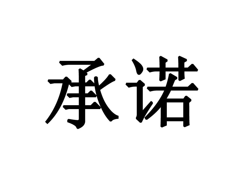 承诺