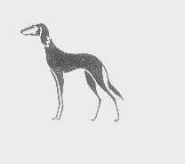 图形