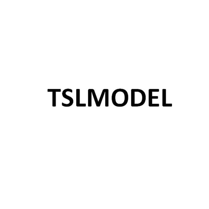 TSLMODEL