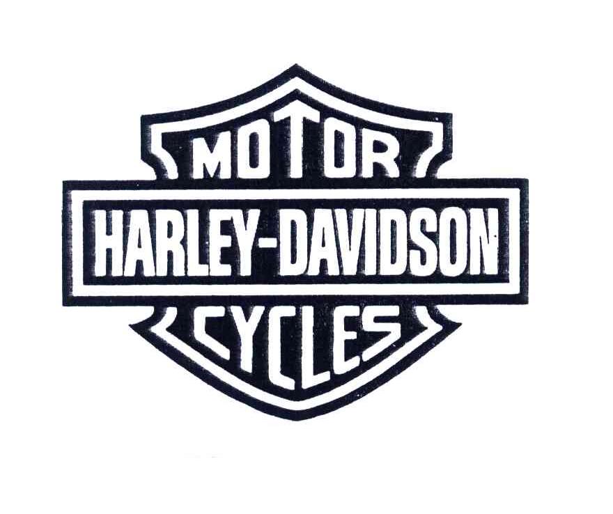 MOTOR HARLEY DAVIDSON CYCLES