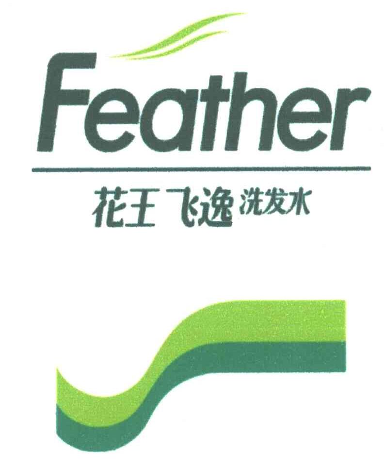 花王飞逸洗发水;FEATHER