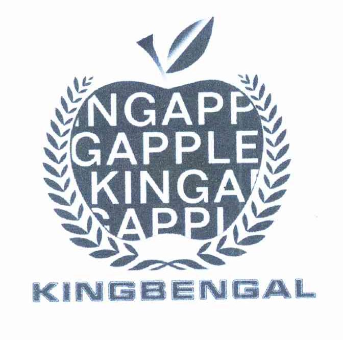 NGAPP GAPPLE KINGA APPL KINGBENGAL