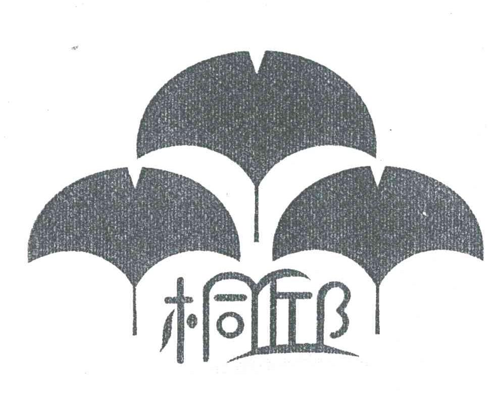 桐邱